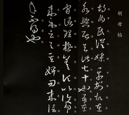 胡母帖 為 十七帖 叢帖第十八通尺牘 草書(shū),5行,42字 問(wèn)問(wèn)